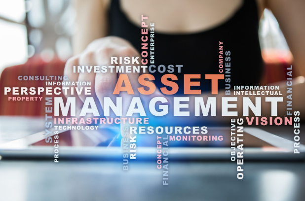 Offshore Asset Management in Anguilla: Digital concepts, risk, and wealth resources.